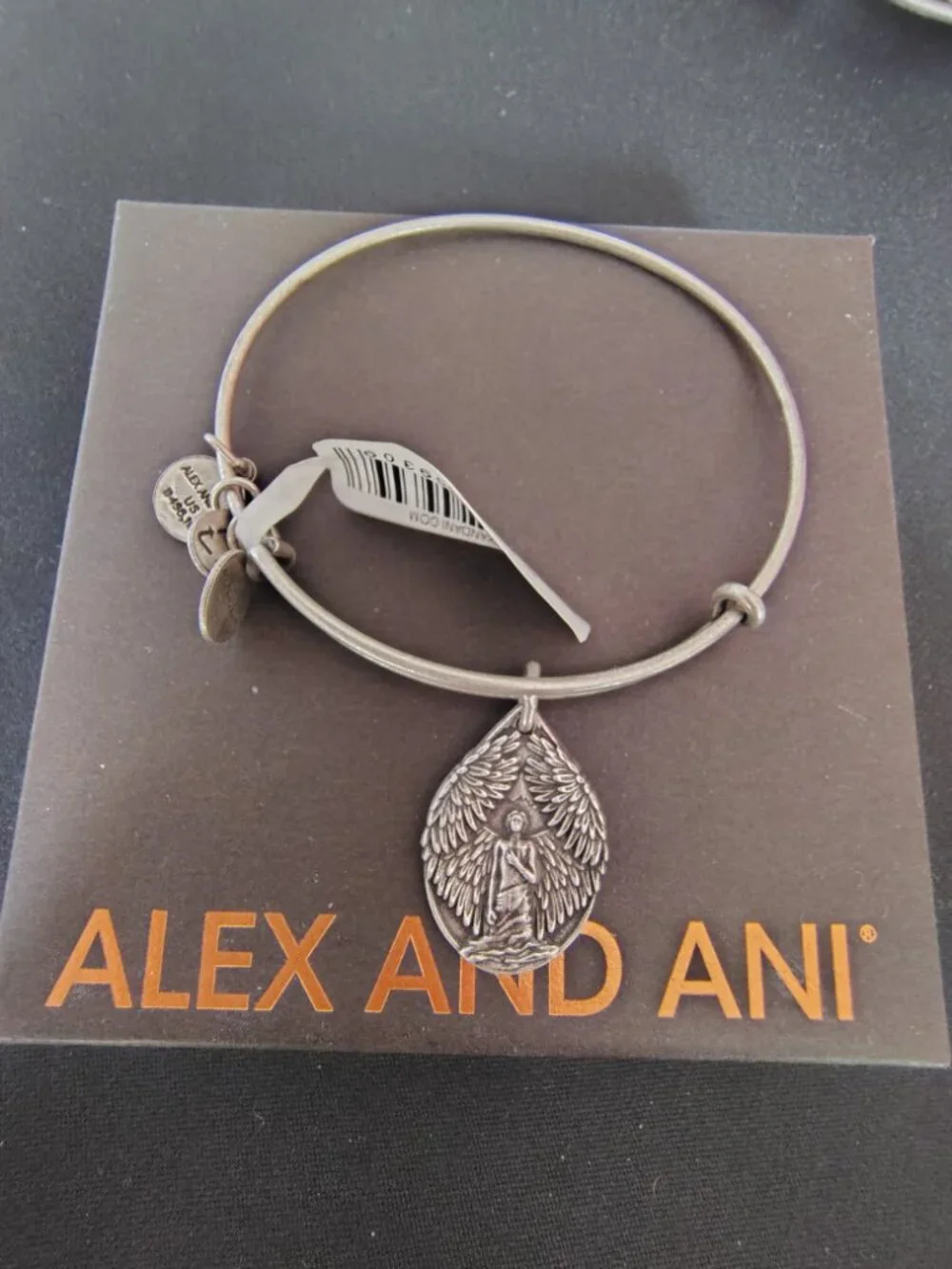 Alex and Ani Guardian of Peace Silver Tone Bracelet 857
